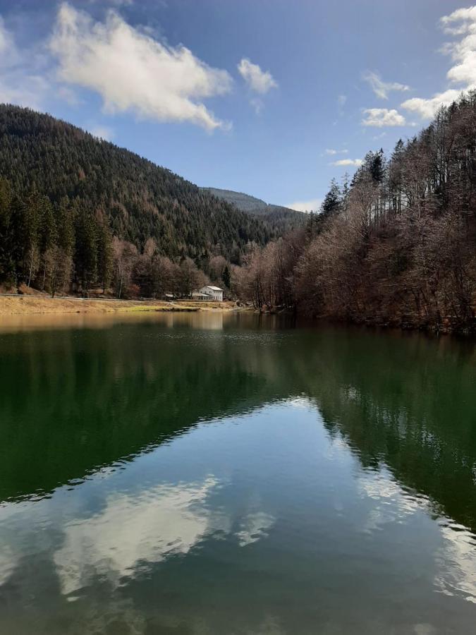 Bocksbergglueck In Hahnenklee, Endreinigung, Bezogene Betten, Handtuecher Inklusive Γκόσλαρ Εξωτερικό φωτογραφία
