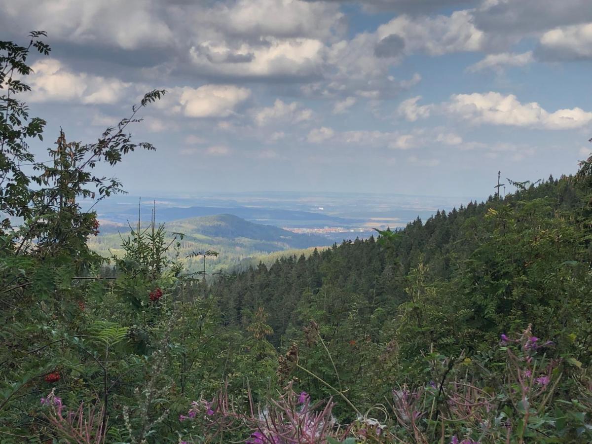 Bocksbergglueck In Hahnenklee, Endreinigung, Bezogene Betten, Handtuecher Inklusive Γκόσλαρ Εξωτερικό φωτογραφία