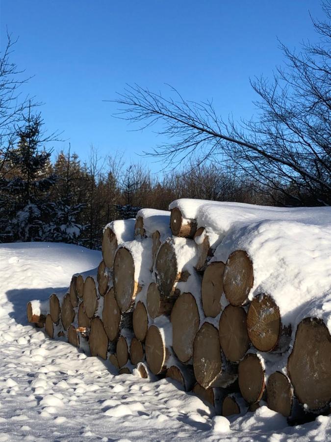 Bocksbergglueck In Hahnenklee, Endreinigung, Bezogene Betten, Handtuecher Inklusive Γκόσλαρ Εξωτερικό φωτογραφία